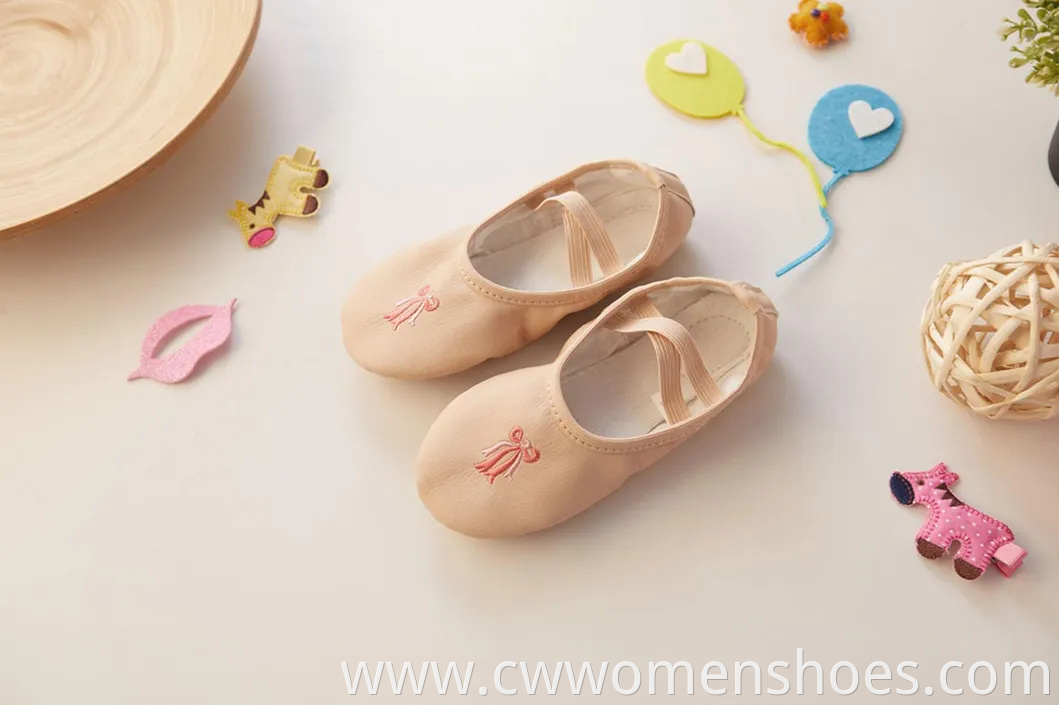 Stylish E5013 Canvas Split Sole Ballet Dance Shoes for Women